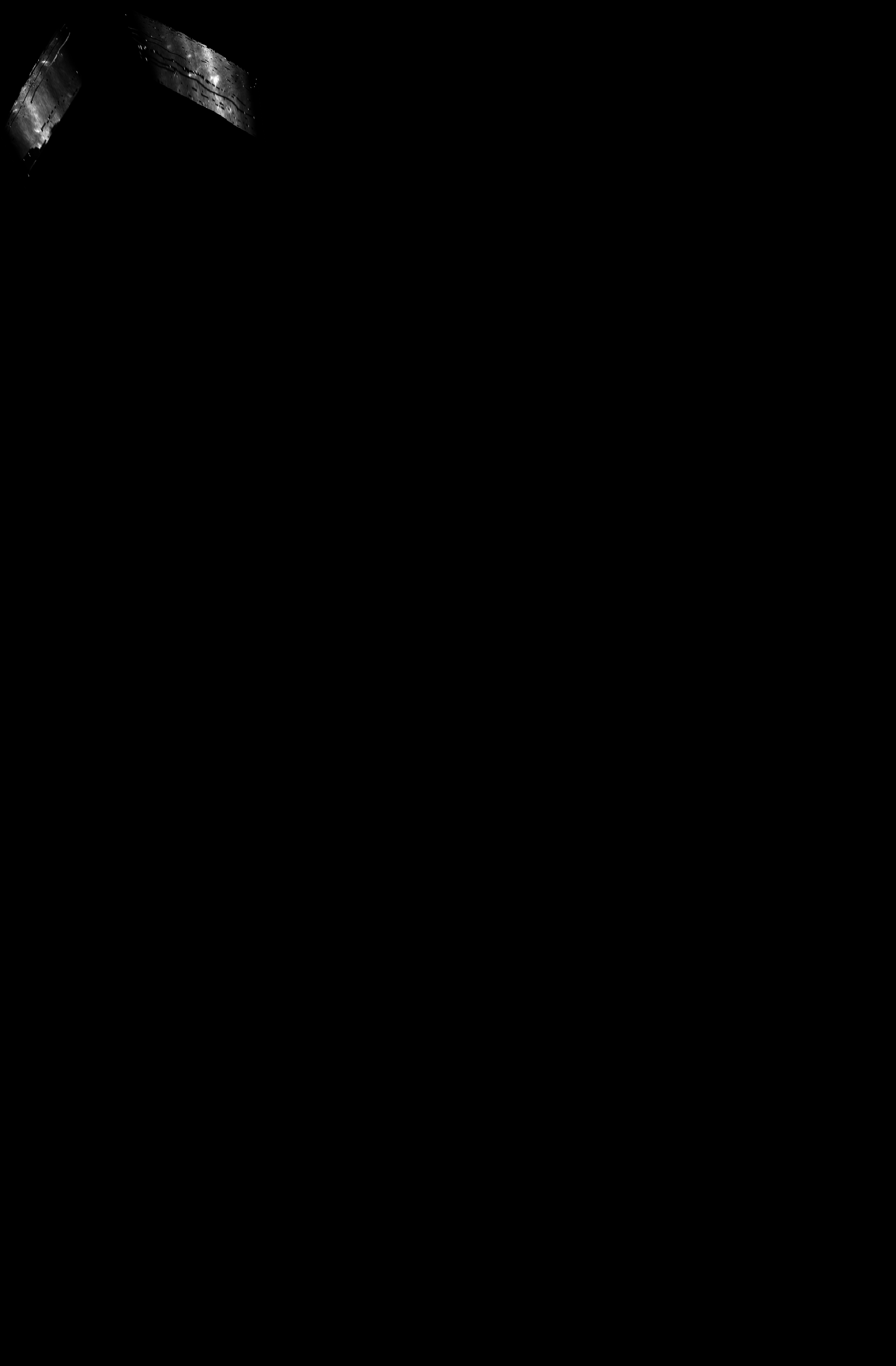 ascat_grayscale_proj_backward.png